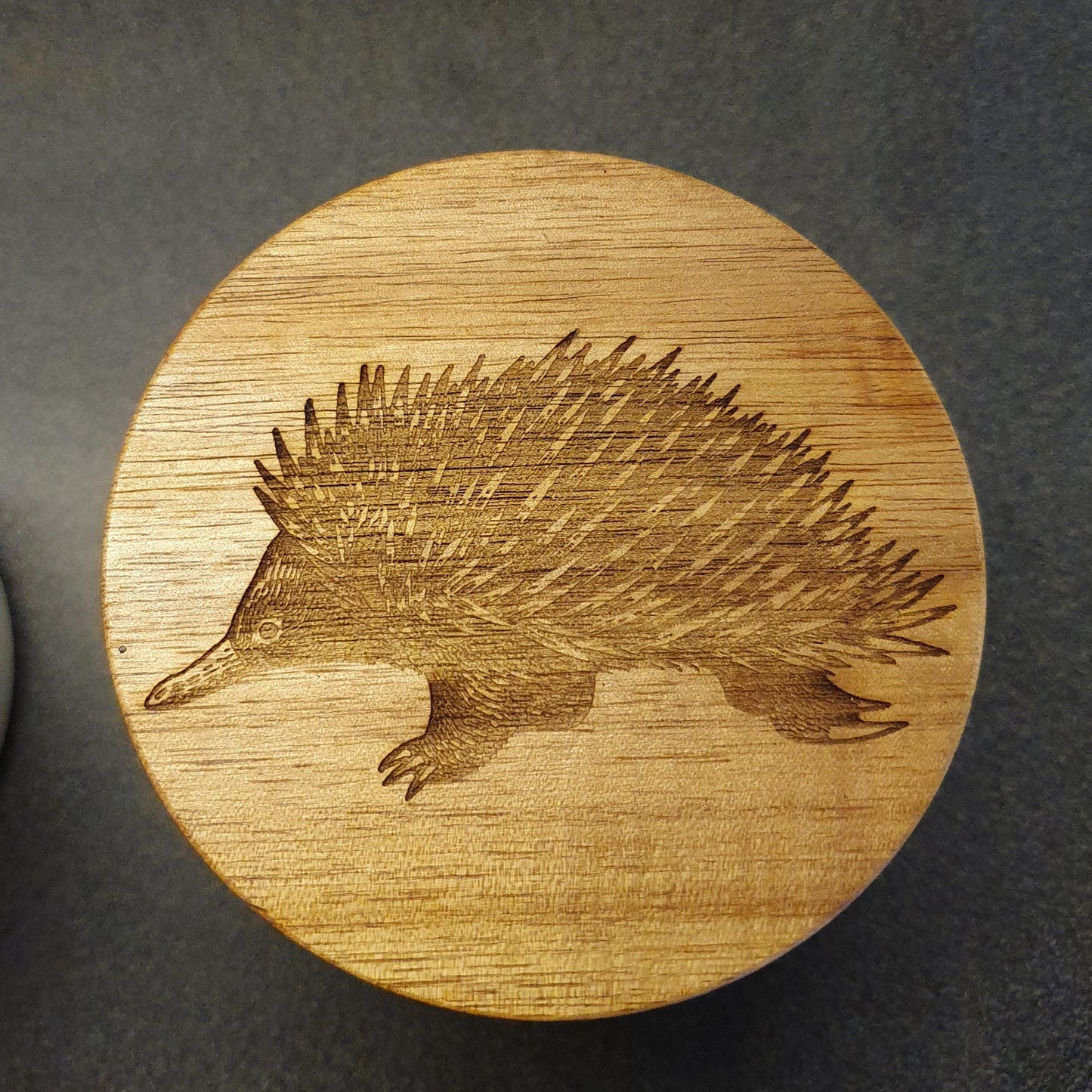 Australian Native Animal Echidna, Platypus, Tasmanian Devil Storage Jars Coffee Tea Sugar Custom Engraved Kitchen