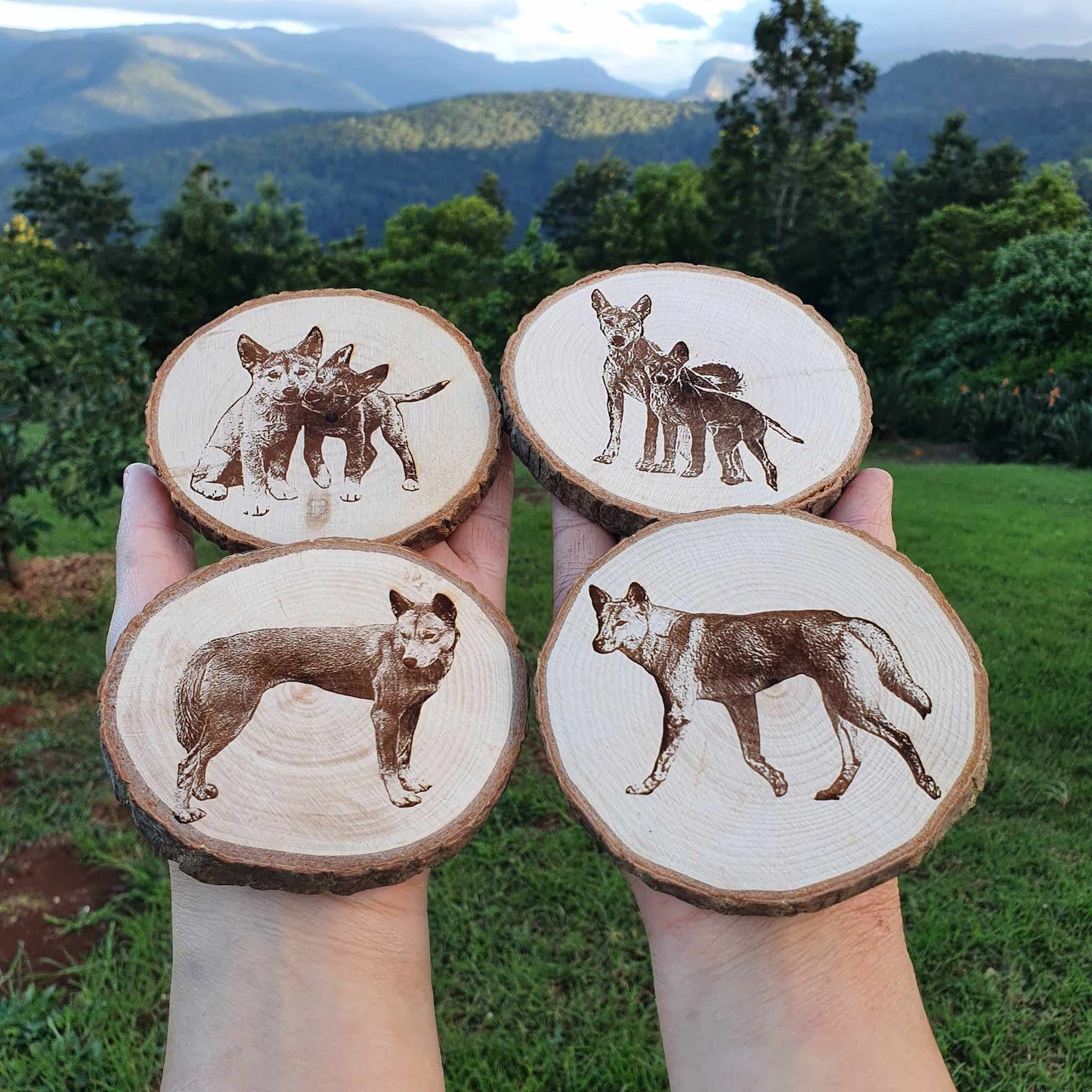 Dingo Coaster Set Australian Native Animal Mammal