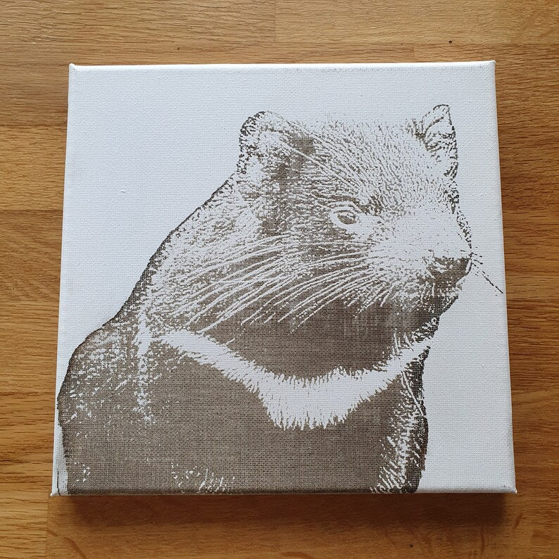Tasmanian Devil NATIVE AUSTRALIAN ANIMAL Engraved Canvas Art 20cmX20cm