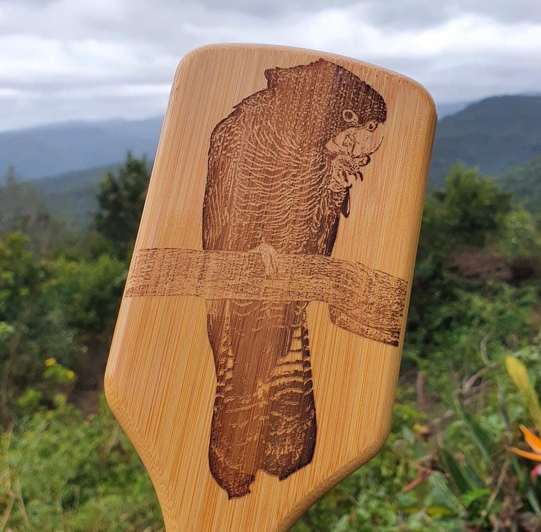 Red-tailed Black Cockatoo Australian Native Engraved Bamboo Hairbrush Paddle Rectangle Anti Static