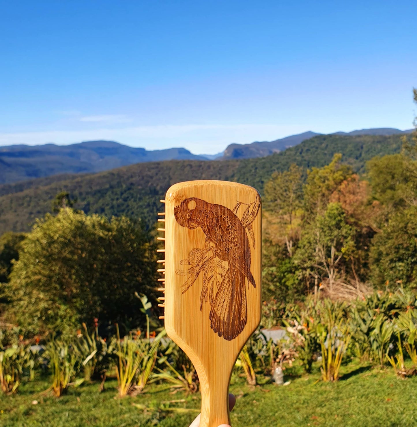 Yellow-tailed Black Cockatoo Australian Native Engraved Bamboo Hairbrush Paddle Rectangle Anti Static