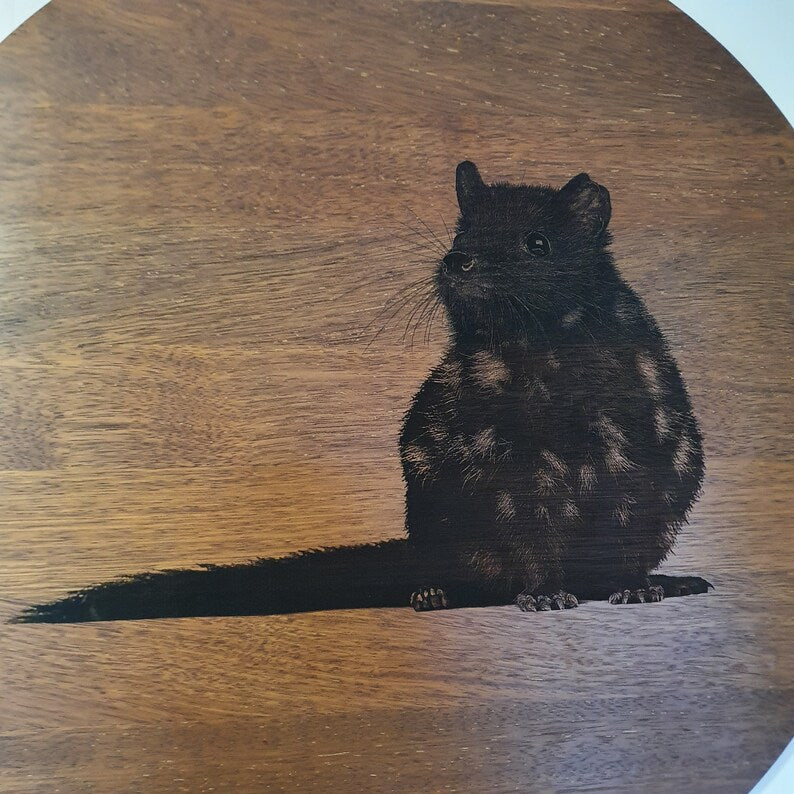 Eastern Quoll Large Wall Hanging Piece Australian Native Merbau Indoor Outdoor Art