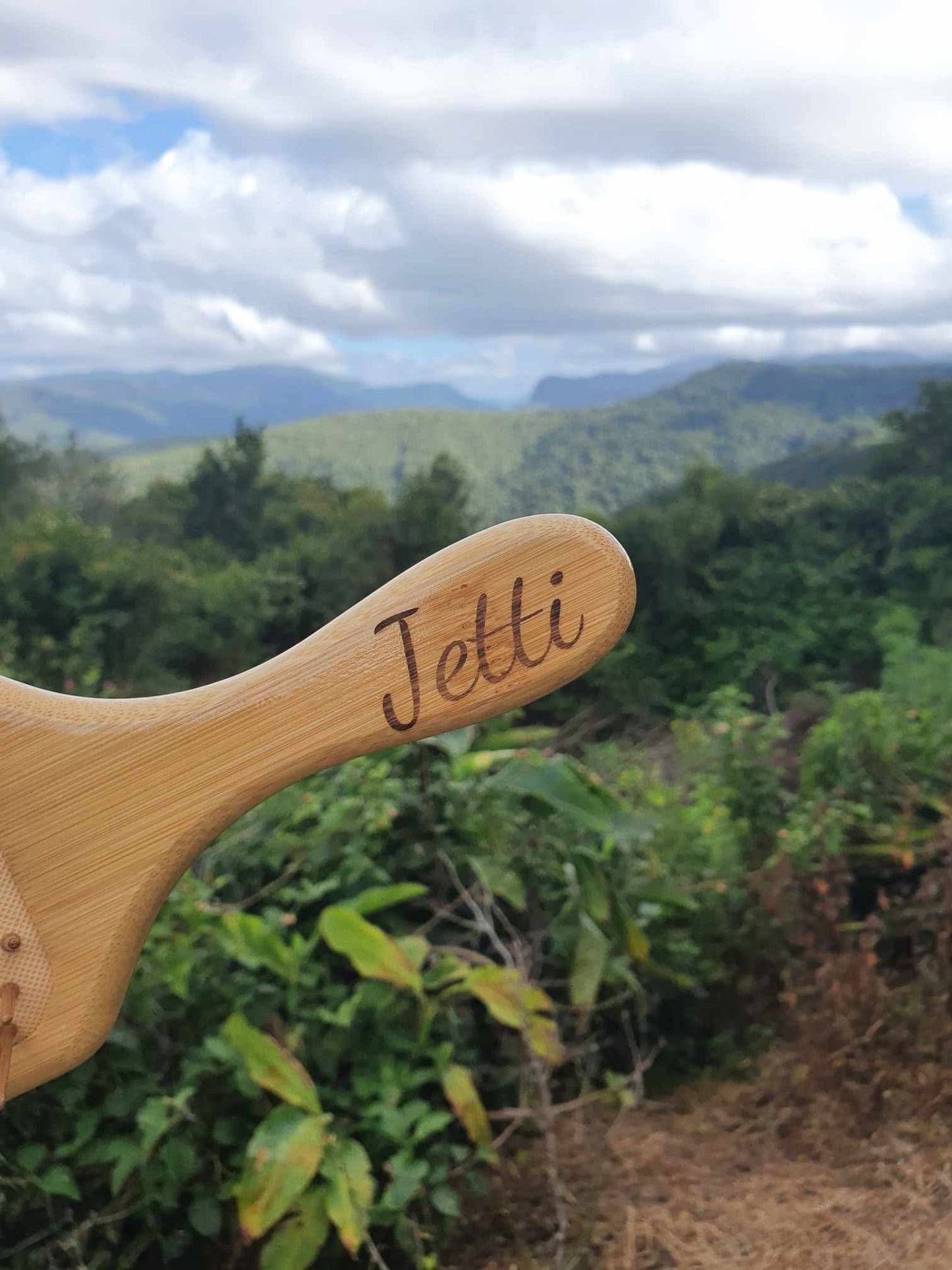 Kangaroo & Dolphin Bamboo hairbrush