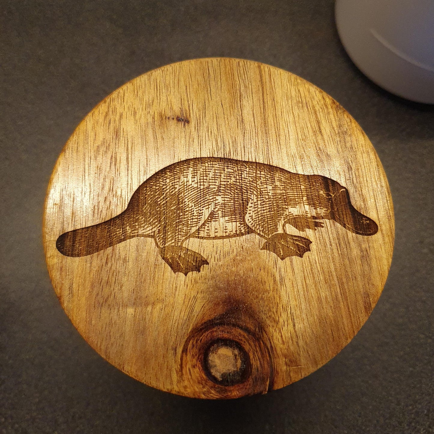 Australian Native Animal Echidna, Platypus, Tasmanian Devil Storage Jars Coffee Tea Sugar Custom Engraved Kitchen