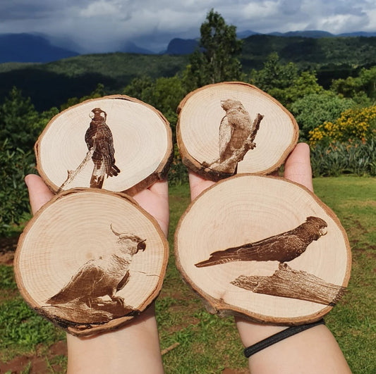 Australian Cockatoo Coaster Set Red-tailed, Sulphur Cockatoo, Yellow-tailed Black Cockatoo, Galah Custom Engraved