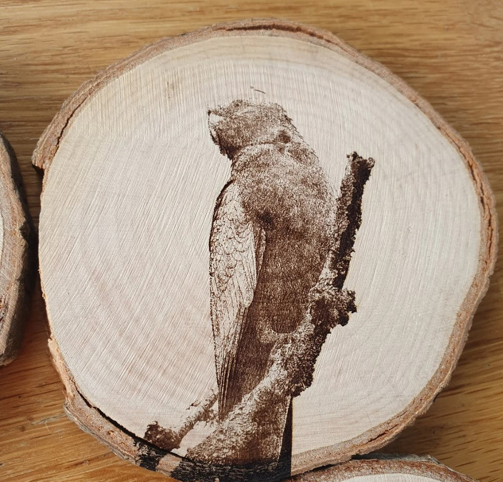 Australian Cockatoo Coaster Set Red-tailed, Sulphur Cockatoo, Yellow-tailed Black Cockatoo, Galah Custom Engraved