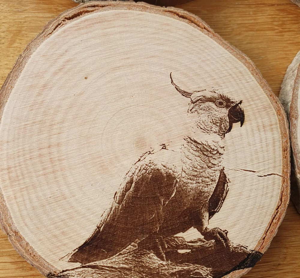Australian Cockatoo Coaster Set Red-tailed, Sulphur Cockatoo, Yellow-tailed Black Cockatoo, Galah Custom Engraved