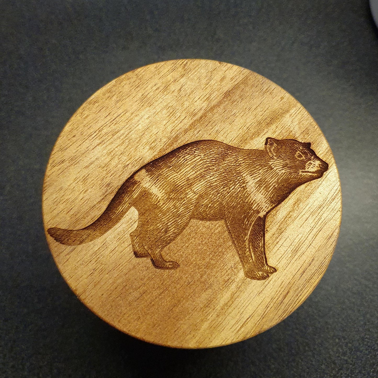 Australian Native Animal Echidna, Platypus, Tasmanian Devil Storage Jars Coffee Tea Sugar Custom Engraved Kitchen