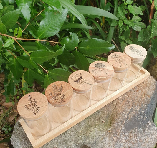 Australian Native Flora Engraved Storage Jars Kitchen Bathroom Bedroom