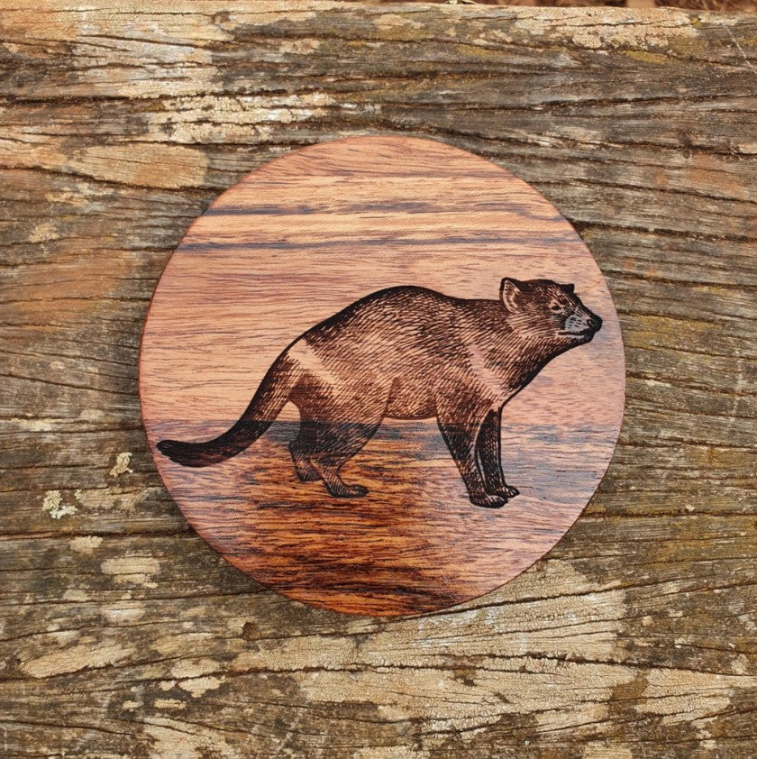 Australian Native Mammal Hardwood Coaster Set Custom Engraved Echidna, Wombat, Tasmanian Devil, Dingo