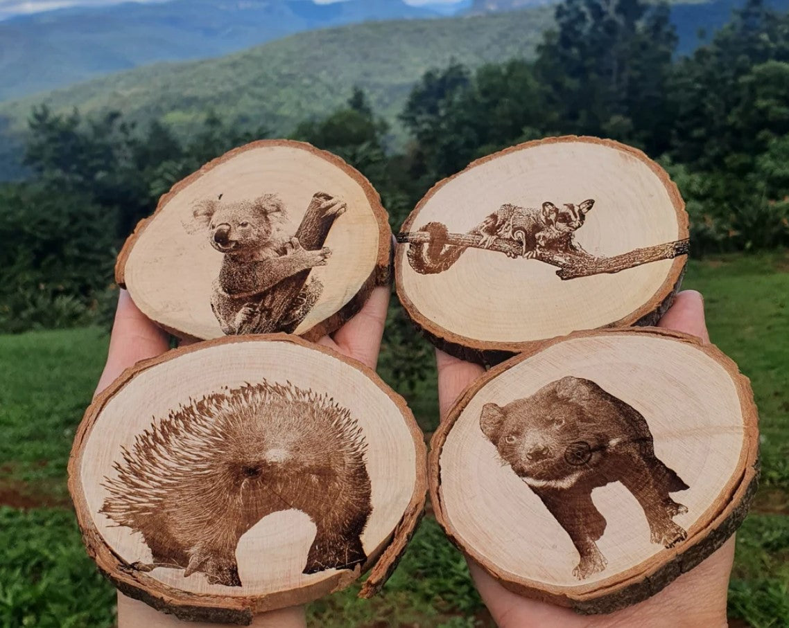 Australian Native Animal Mammal Coaster Set Koala, Tasmanian Devil, Echidna, Sugar Glider