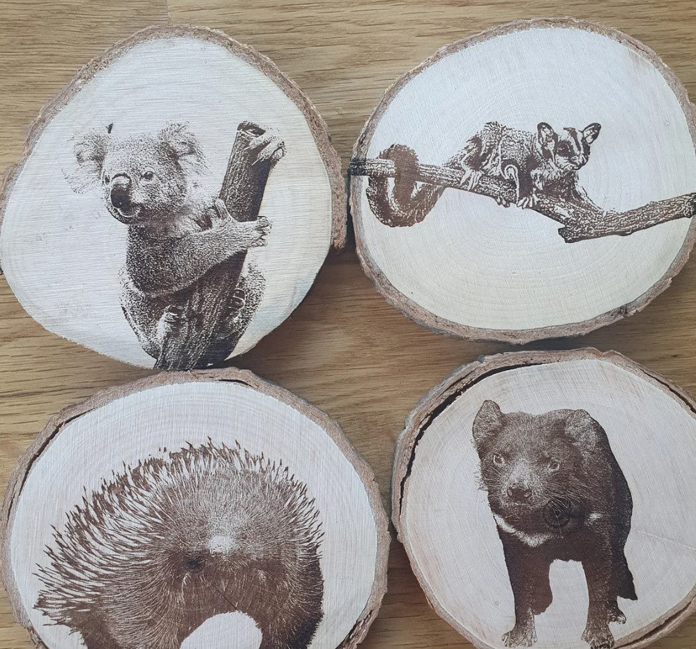 Australian Native Animal Mammal Coaster Set Koala, Tasmanian Devil, Echidna, Sugar Glider