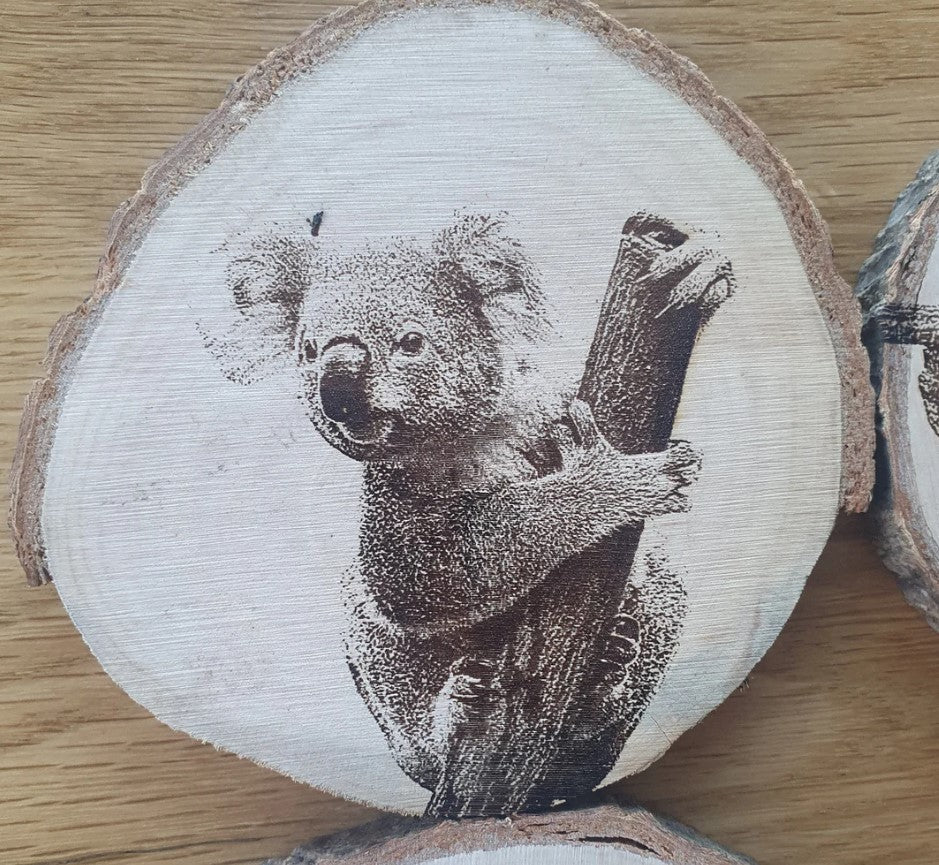 Australian Native Animal Mammal Coaster Set Koala, Tasmanian Devil, Echidna, Sugar Glider