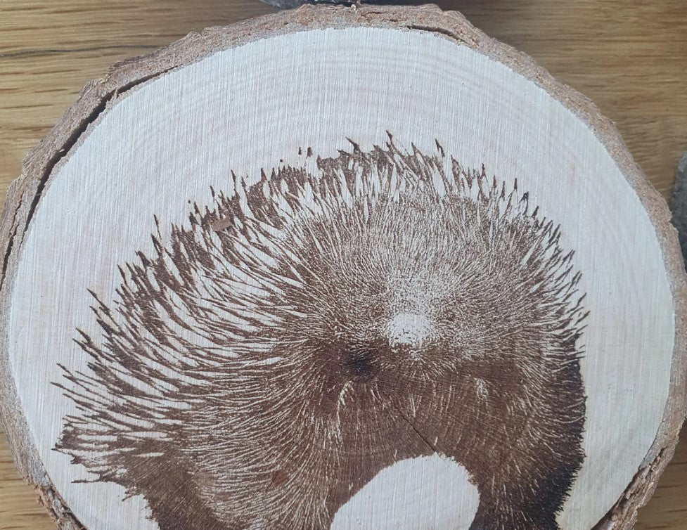 Australian Native Animal Mammal Coaster Set Koala, Tasmanian Devil, Echidna, Sugar Glider